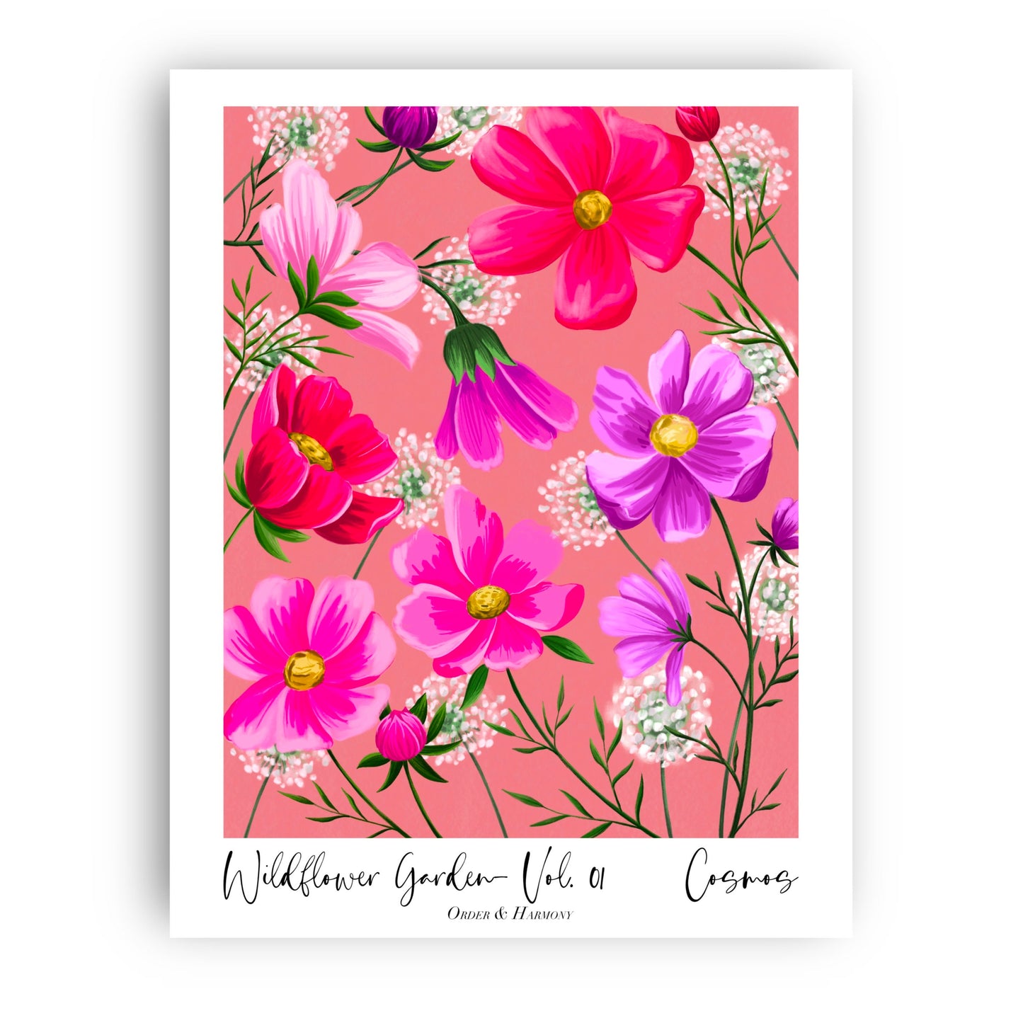 Cosmos Wildflower Garden Wall Art Print