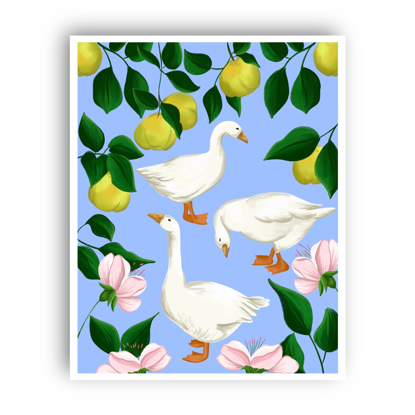 Ducks and Pears Wall Art Print