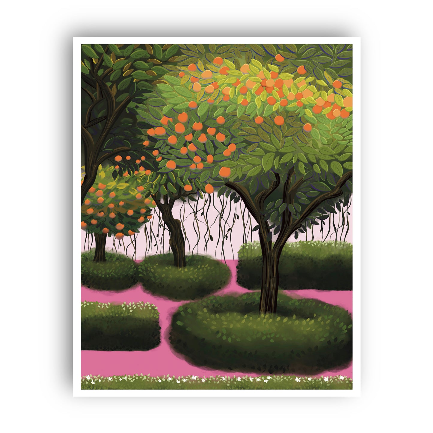 Orange Trees Wall Art Print