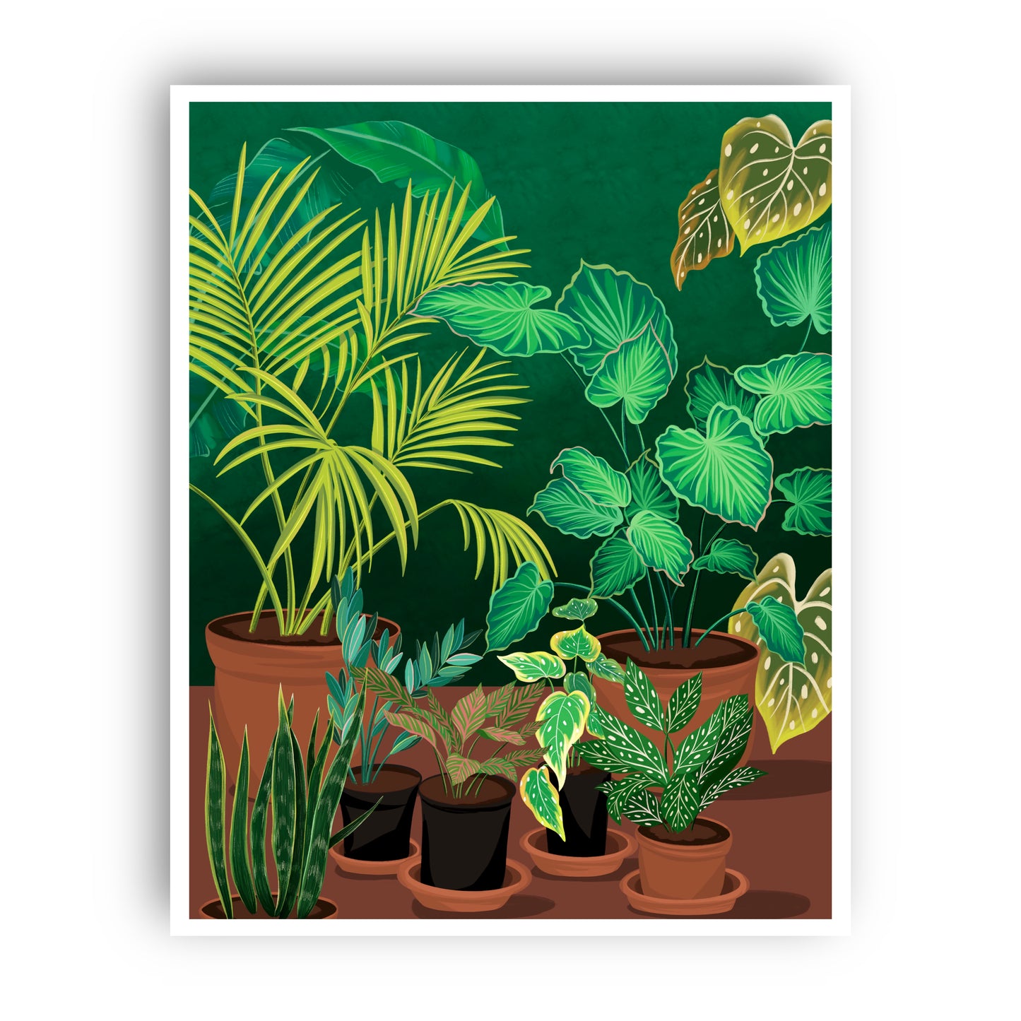 House Plants Wall Art Print