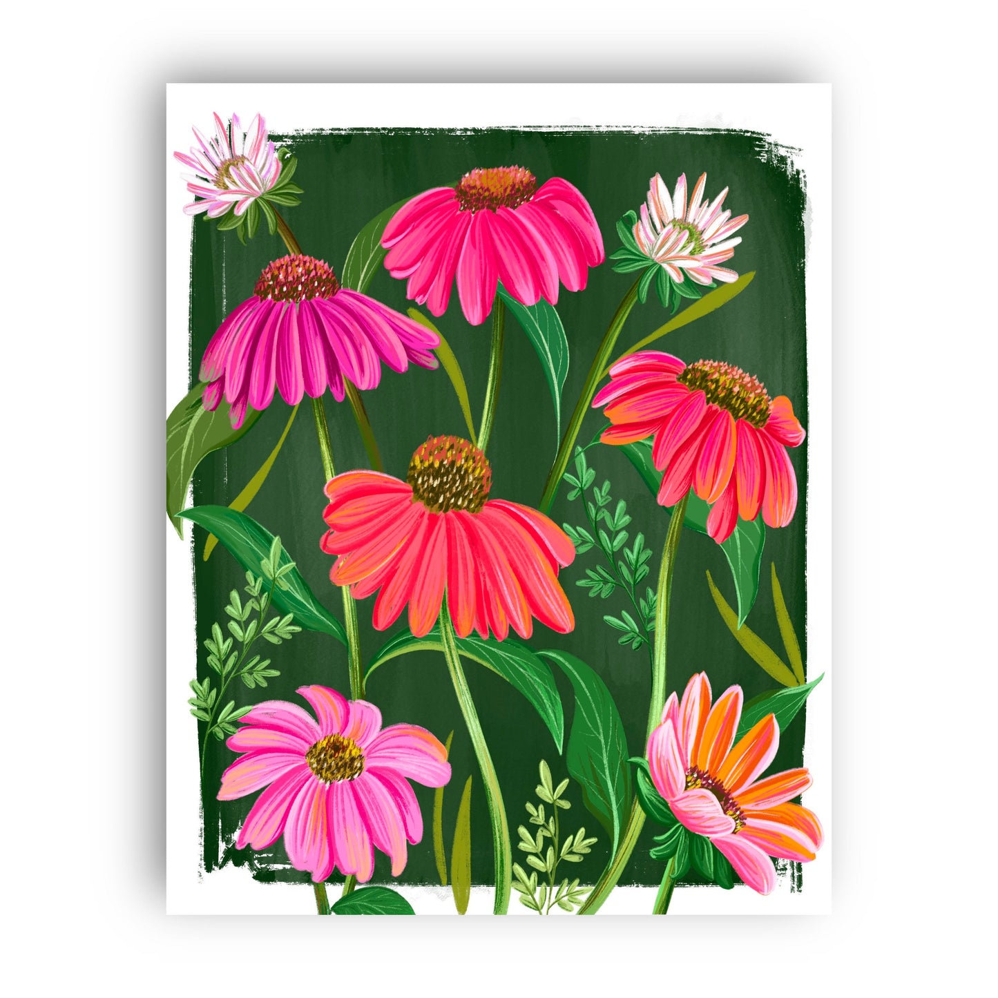 Pink Echinacea Garden Wall Art Print
